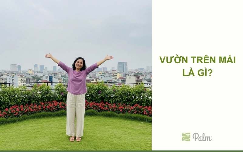 Vườn trên mái là gì? 11 Lợi ích nâng tầm giá trị căn nhà của bạn